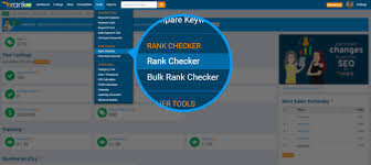 rank checker