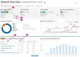 search engine ranking report