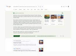 google search website