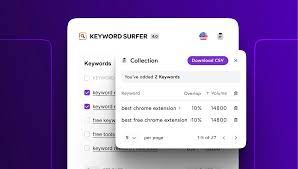 seo keyword search tool