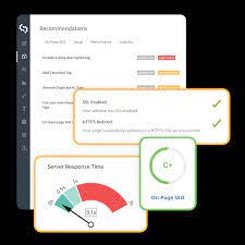 site seo checkup