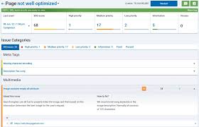 on page seo checker free