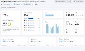 search engine keyword position tool