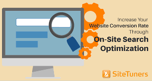 site search optimization