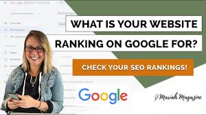 check your website seo