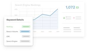 search engine ranking checker