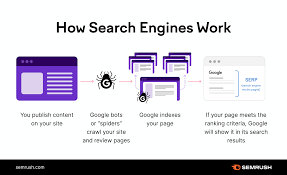 search engine ranking search