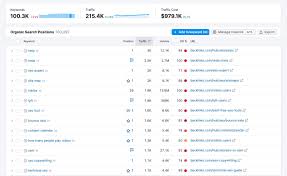 website seo rank checker