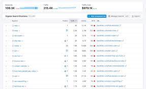 seo keyword rank checker