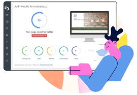 seo rank checker online