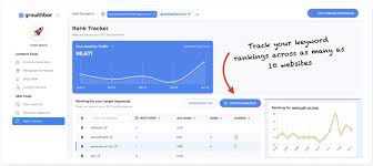 keyword search ranking tool