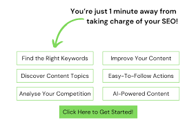 pro seo