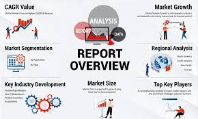search engine optimization report