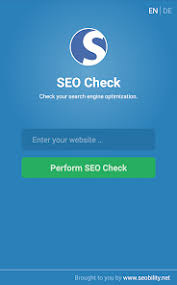 check your seo