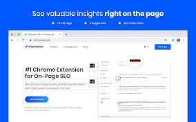 check website seo google