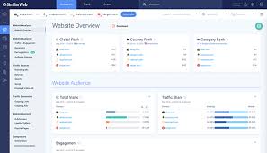 website traffic analysis