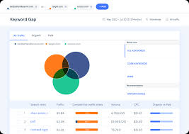 seo website keyword analysis