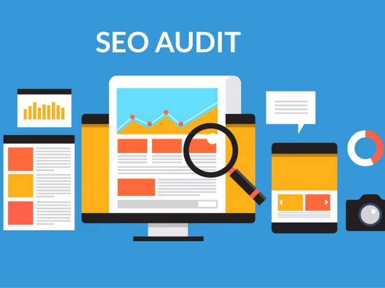 website seo audit tool