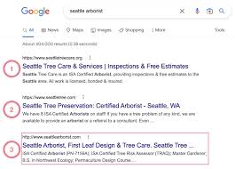 find keyword ranking