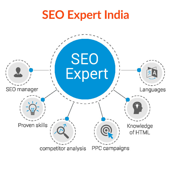 seo expert website
